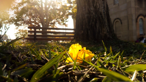 Caminho da Fé - Águas da Prata