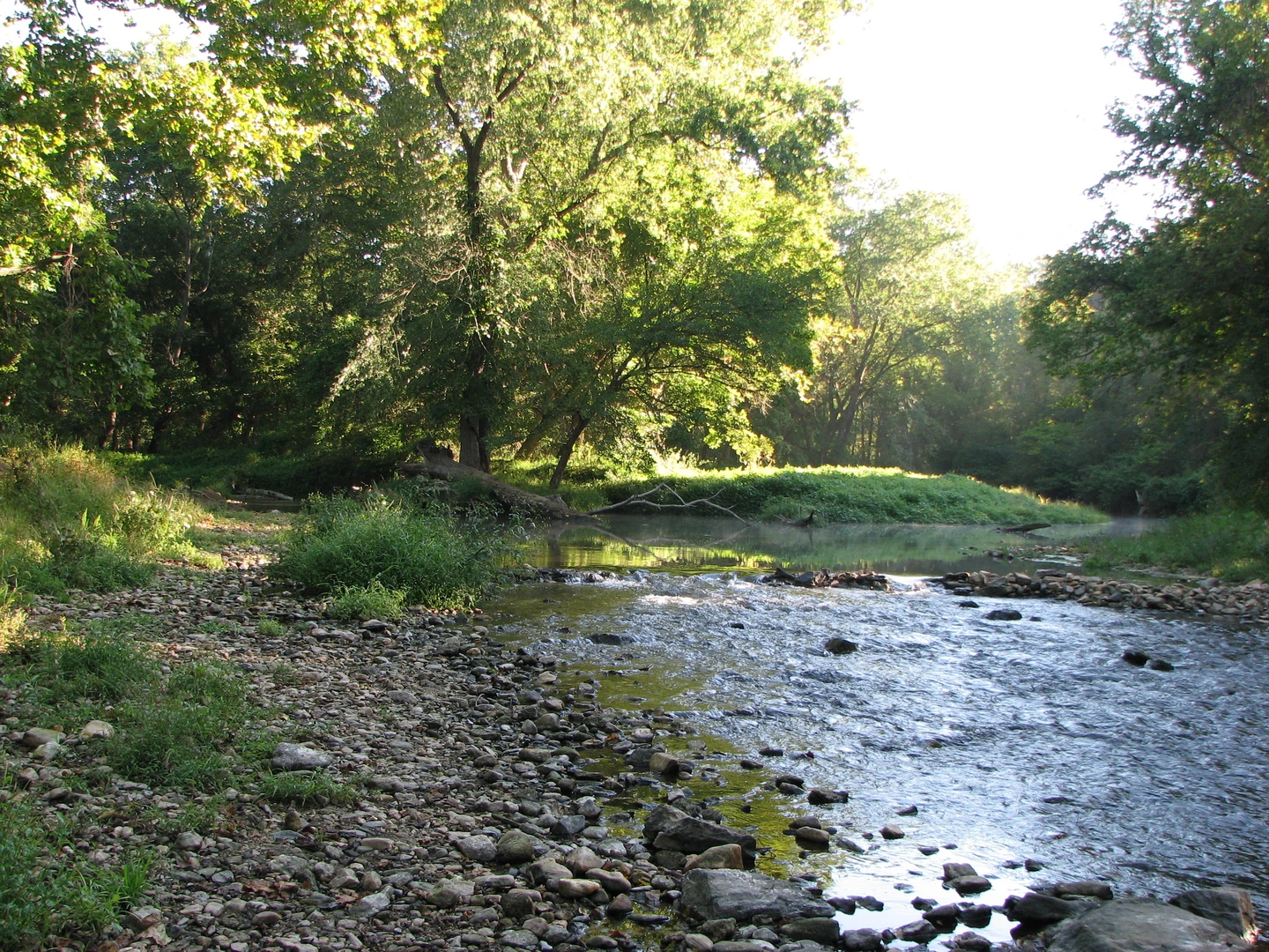 An image depicting the trail East Branch White Clay Creek Loop and its surrounding area.