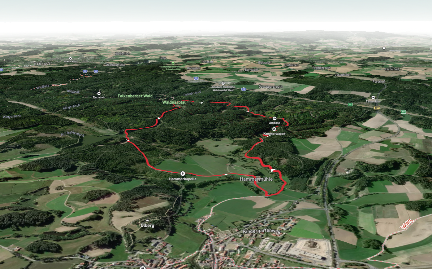 Kammerwagen, Amboss, Mühlnickelbach and Mühlnickelweiher Loop via Burgenweg