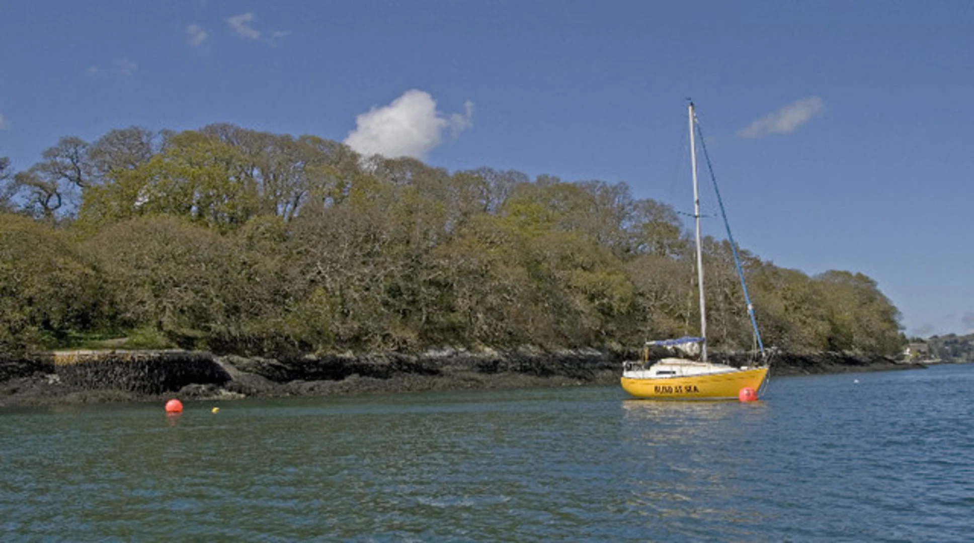 An image depicting the trail Mylor Bridge to Restronguet Loop and its surrounding area.