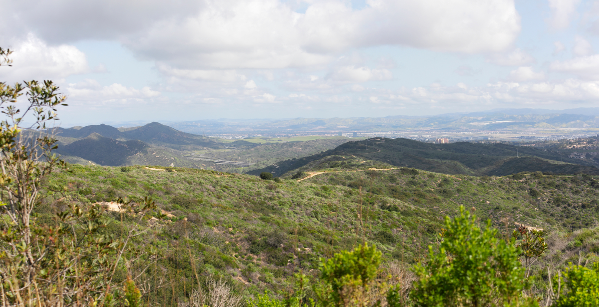 An image depicting the trail Aliso Peak via Valido Trail and its surrounding area.