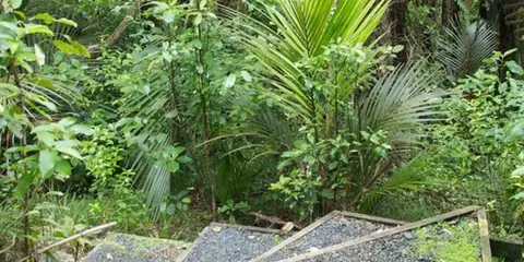 An image depicting the trail Moirs Hill Walkway and its surrounding area.