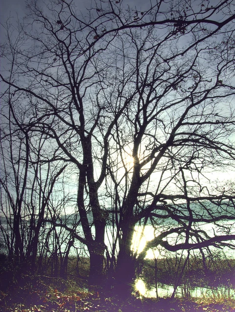 An image depicting the trail Uckermärker Landrunde and its surrounding area.