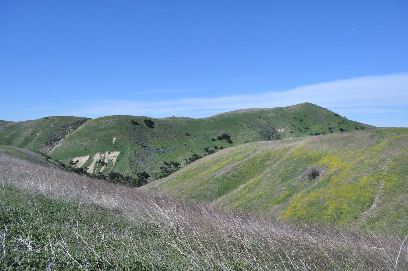 An image depicting the trail Modelo - Cheeseboro Canyon Loop Trail and its surrounding area.