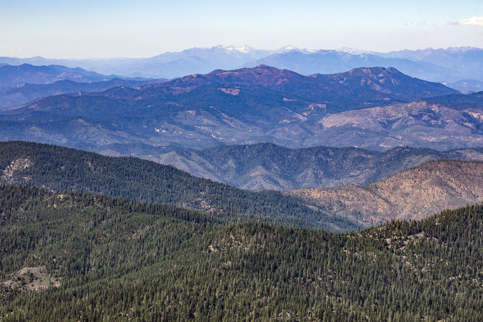 An image depicting the trail North Yolla Bolly Trail via Cold Fork Ridge Trail and its surrounding area.