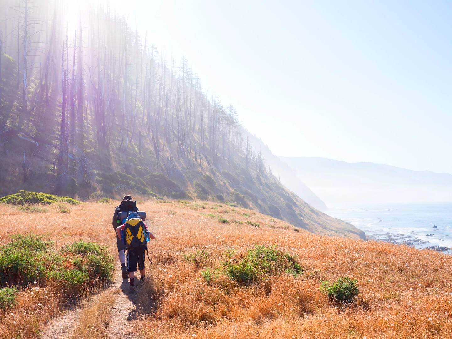 An image depicting the trail Chamisal Mountain, Chinquapin and Lost Coast Loop Trail and its surrounding area.