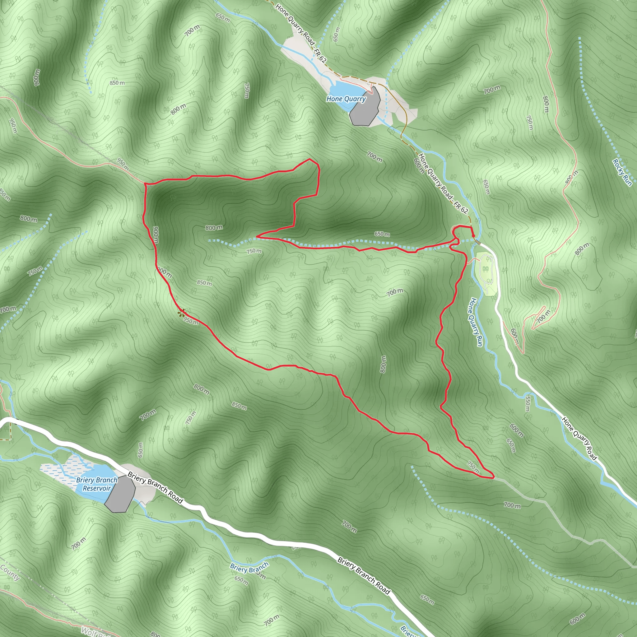 Big Hollow Loop Trail mobile static map
