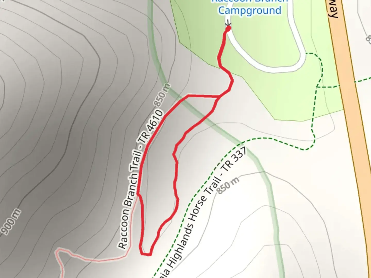 An image depicting the trail Raccoon Branch Trail and its surrounding area.