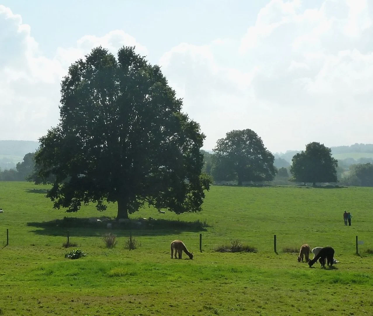 An image depicting the trail Winchcombe and the Sudeley Valley and its surrounding area.