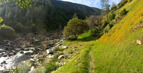 Incline Road Trail - North