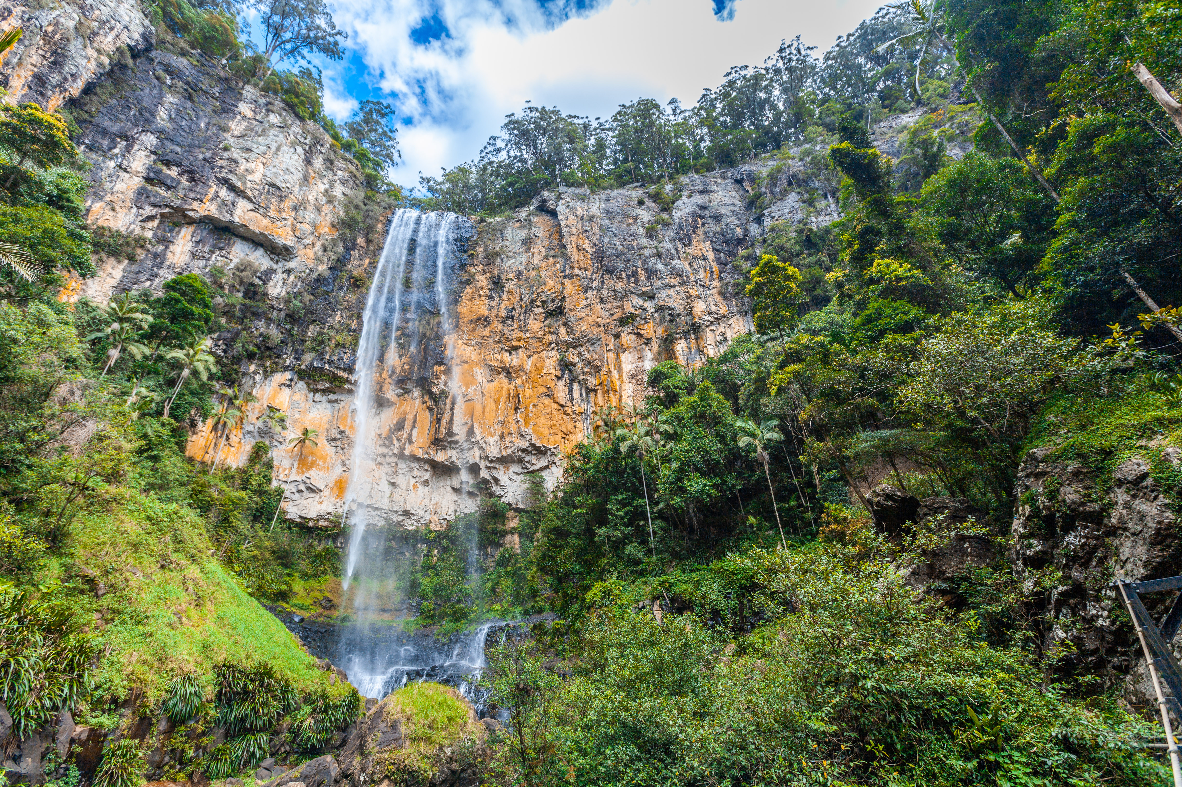 An image depicting the trail Springbrook National Park and its surrounding area.