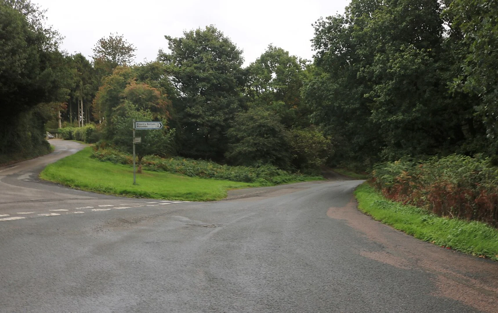 An image depicting the trail Angling Spring Wood, Pepperboxes Wood and Hampdenleaf Wood Loop and its surrounding area.
