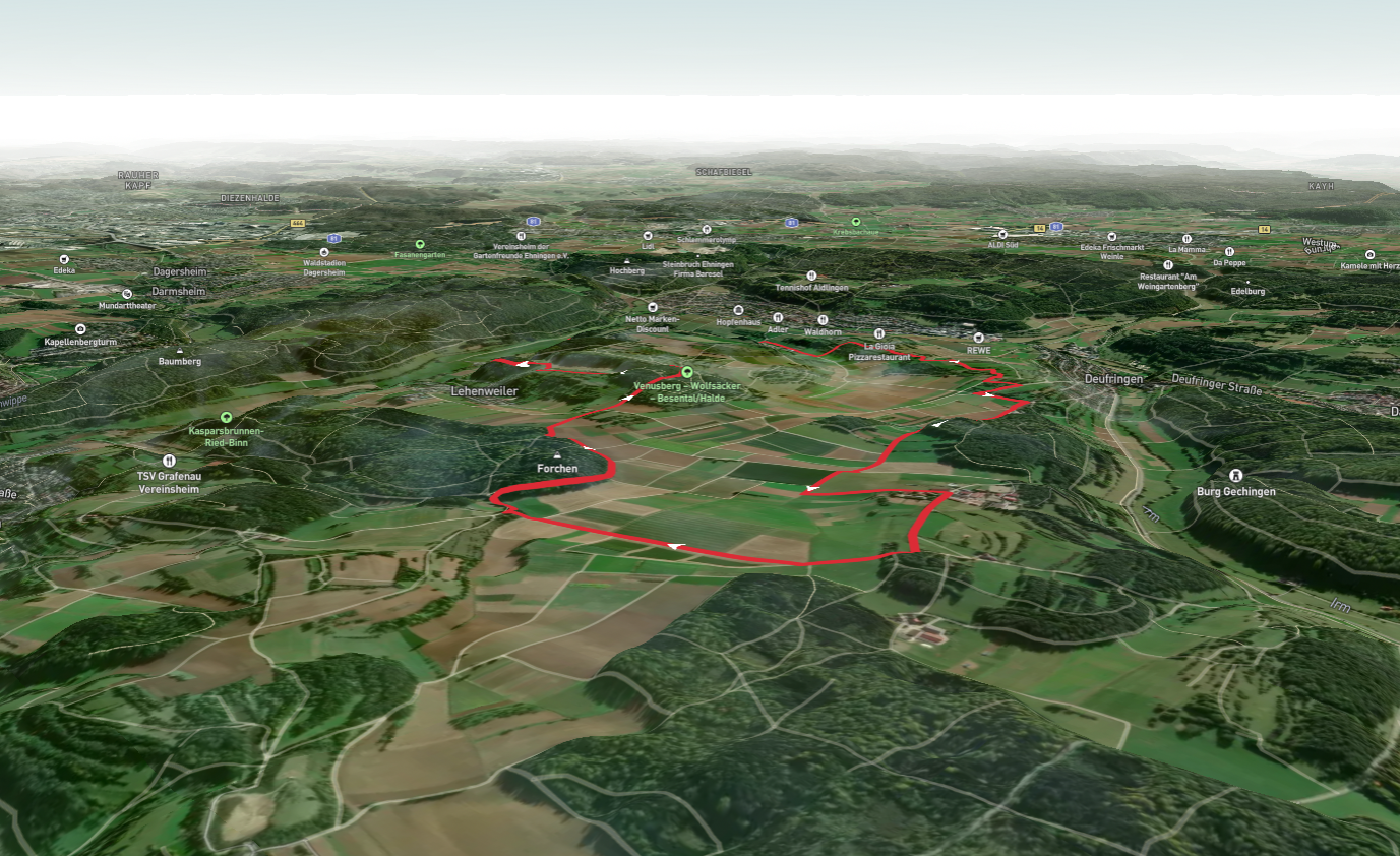 Braunerde Terra Fusca via Haldenweg