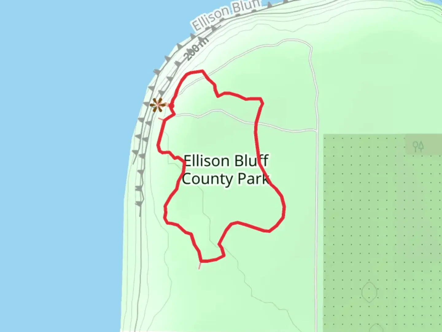 An image depicting the trail Ellison Bluff Loop and its surrounding area.