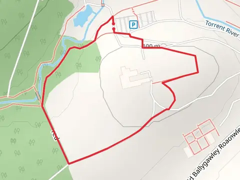 Deer Park Walk - Parkanaur Forest - Red