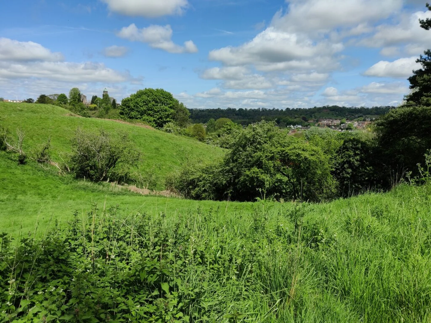 An image depicting the trail Baughurst, Kingsclere and Wolverton Townsend Loop and its surrounding area.