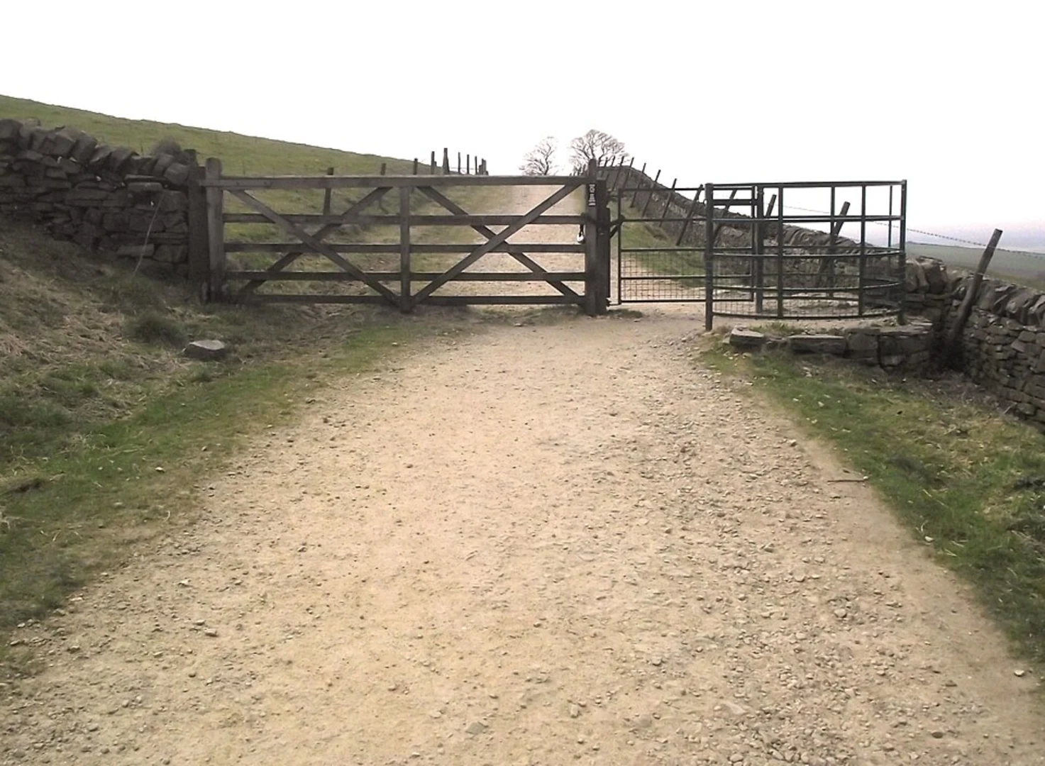An image depicting the trail Tegg's Nose Peak Loop and its surrounding area.