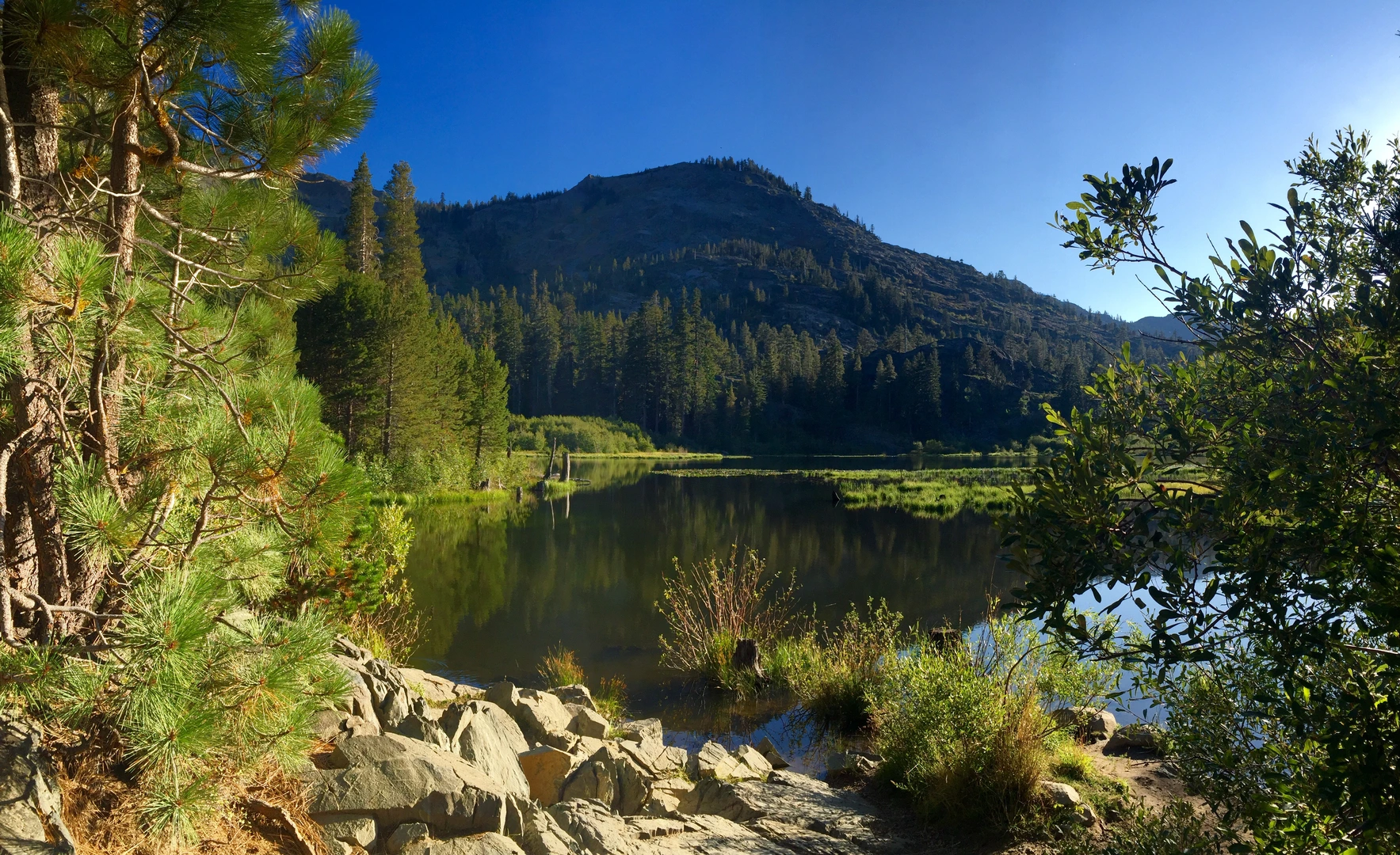 An image depicting the trail Dicks Lake and Fontanillis Lake via Tahoe Rim Trail and its surrounding area.