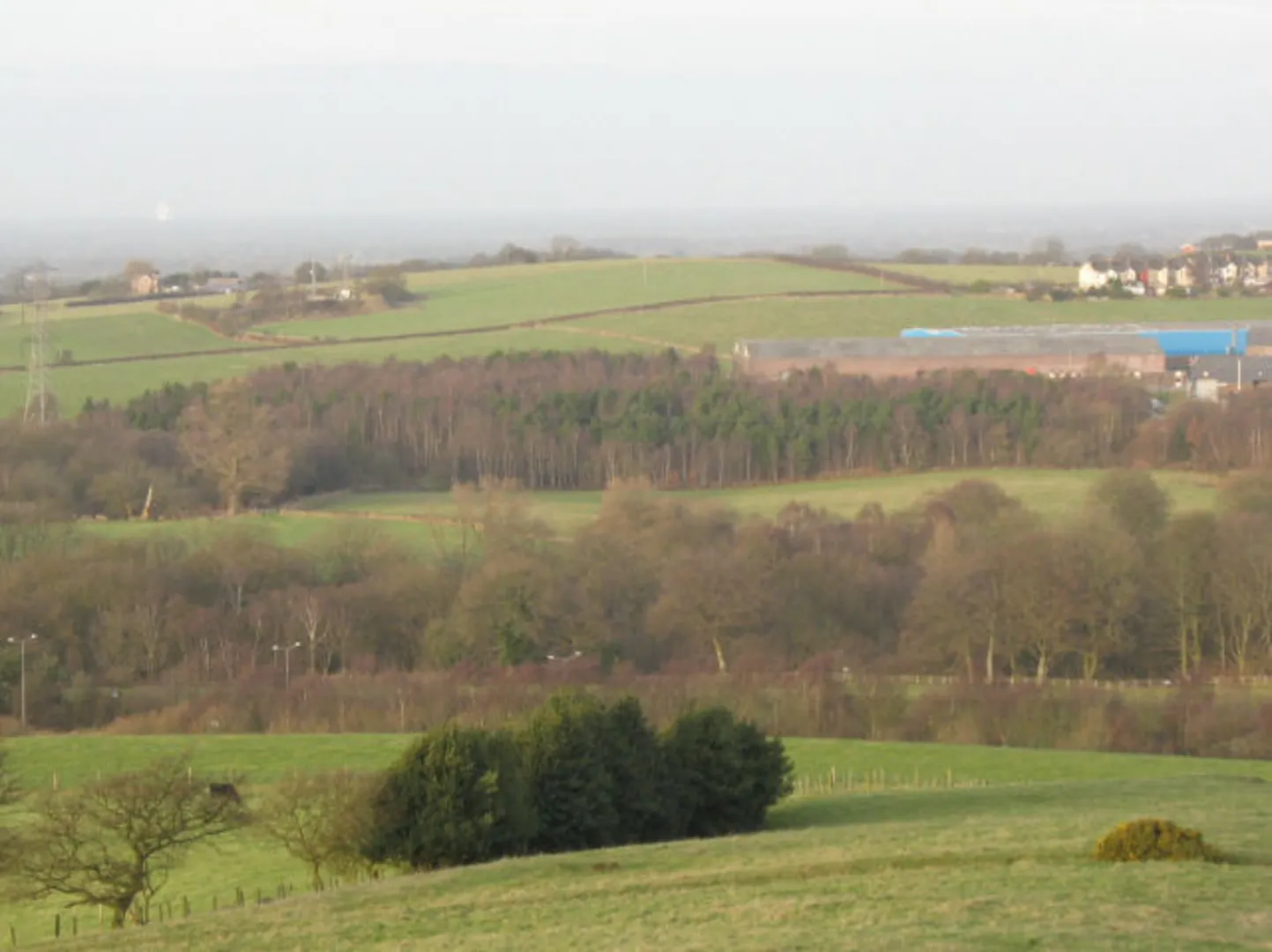 An image depicting the trail Parrot's Drumble Loop and its surrounding area.