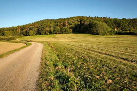 An image depicting the trail Fränkischer Dünenweg and its surrounding area.