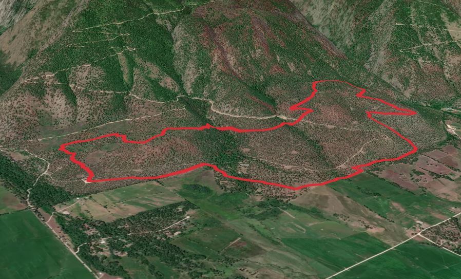 Larry Creek Loop Trail