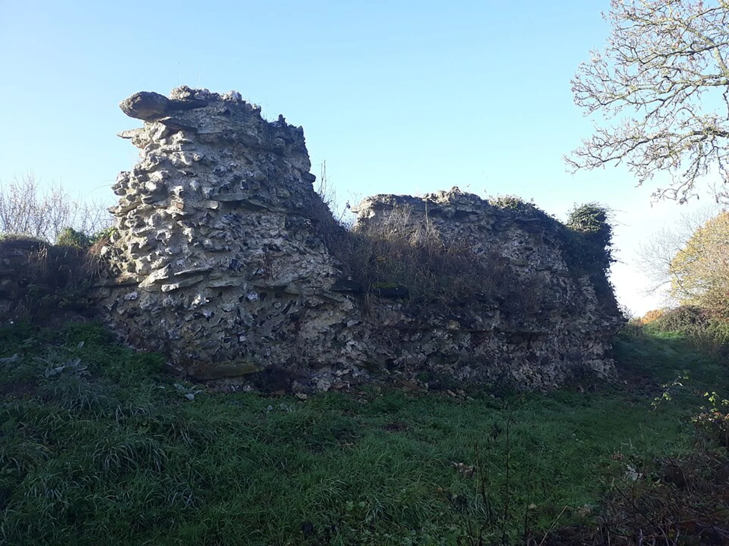 An image depicting the trail Silchester Roman City Walls and Clapper's Farm Ford Loop and its surrounding area.