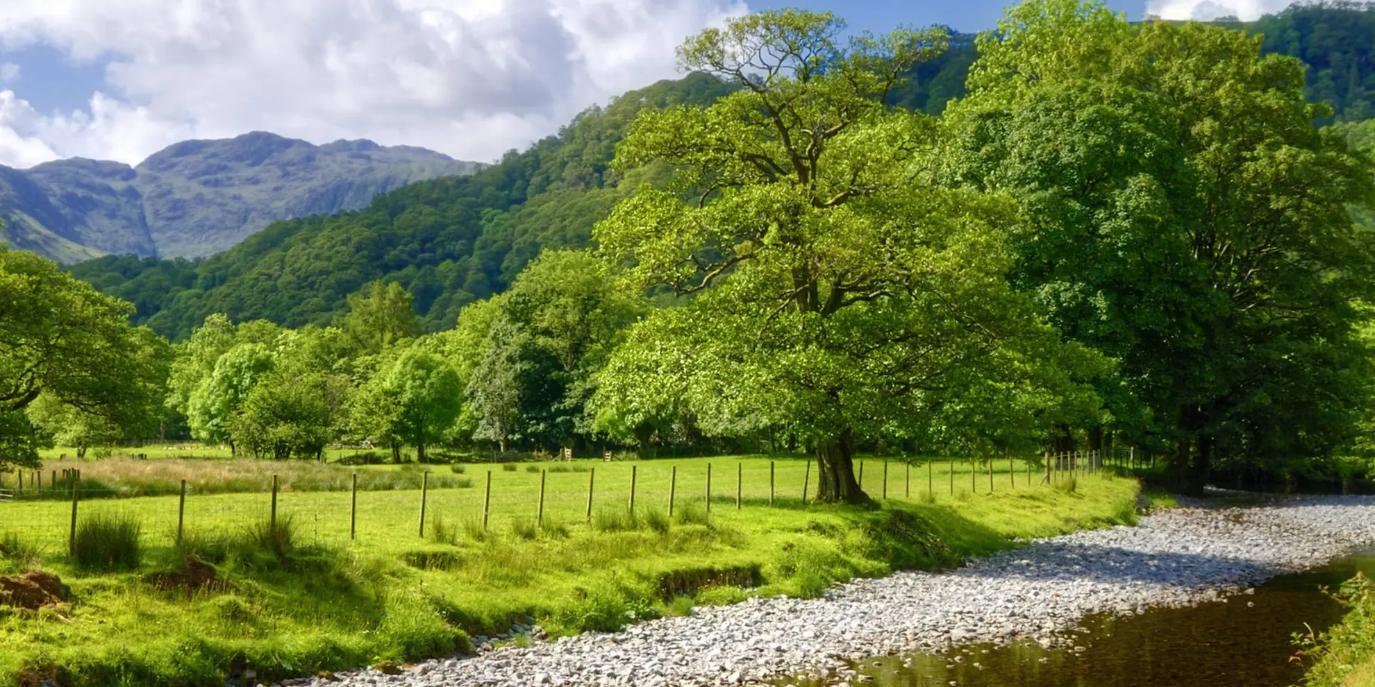 An image depicting the trail Rosthwaite - Watendlath - Grange in Borrowdale Circular Walk and its surrounding area.