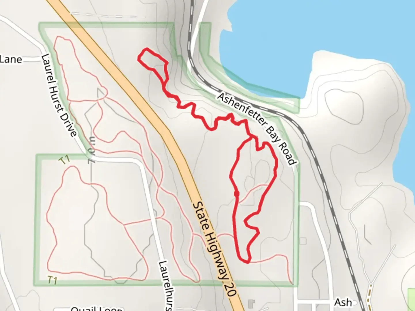 An image depicting the trail Lower Wolf Loop Trail and its surrounding area.