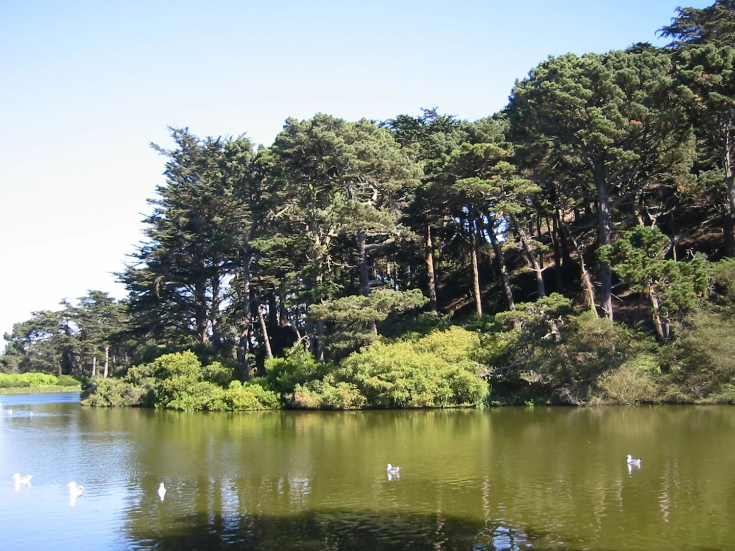 An image depicting the trail Strawberry Hill and Stow Lake Loop and its surrounding area.