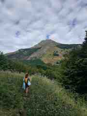 Lizzy Barrett  avatar