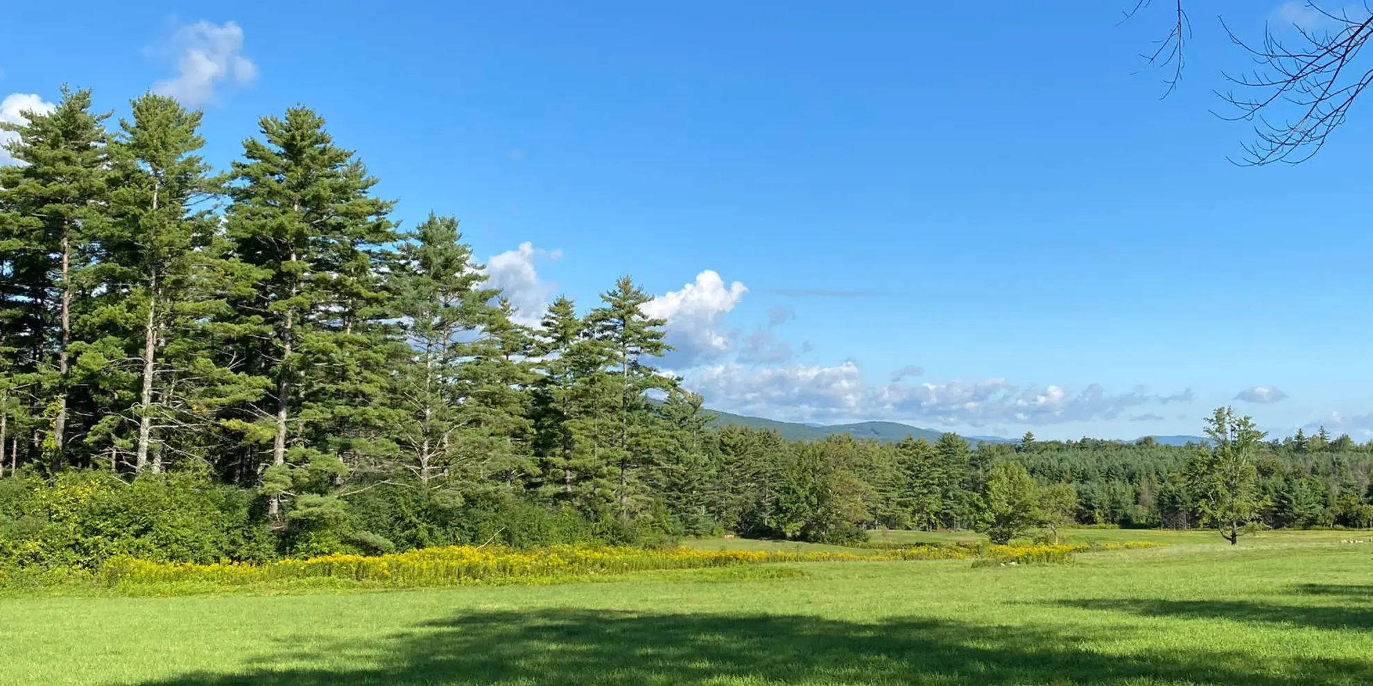 An image depicting the trail Charndon and Edgcott and its surrounding area.