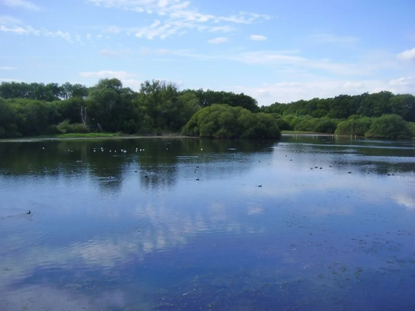 An image depicting the trail Ravensthorpe Reservoir Loop and its surrounding area.