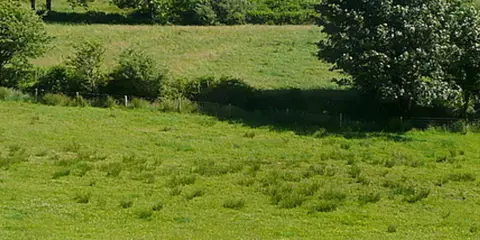 An image depicting the trail Coomkeen Loop and its surrounding area.