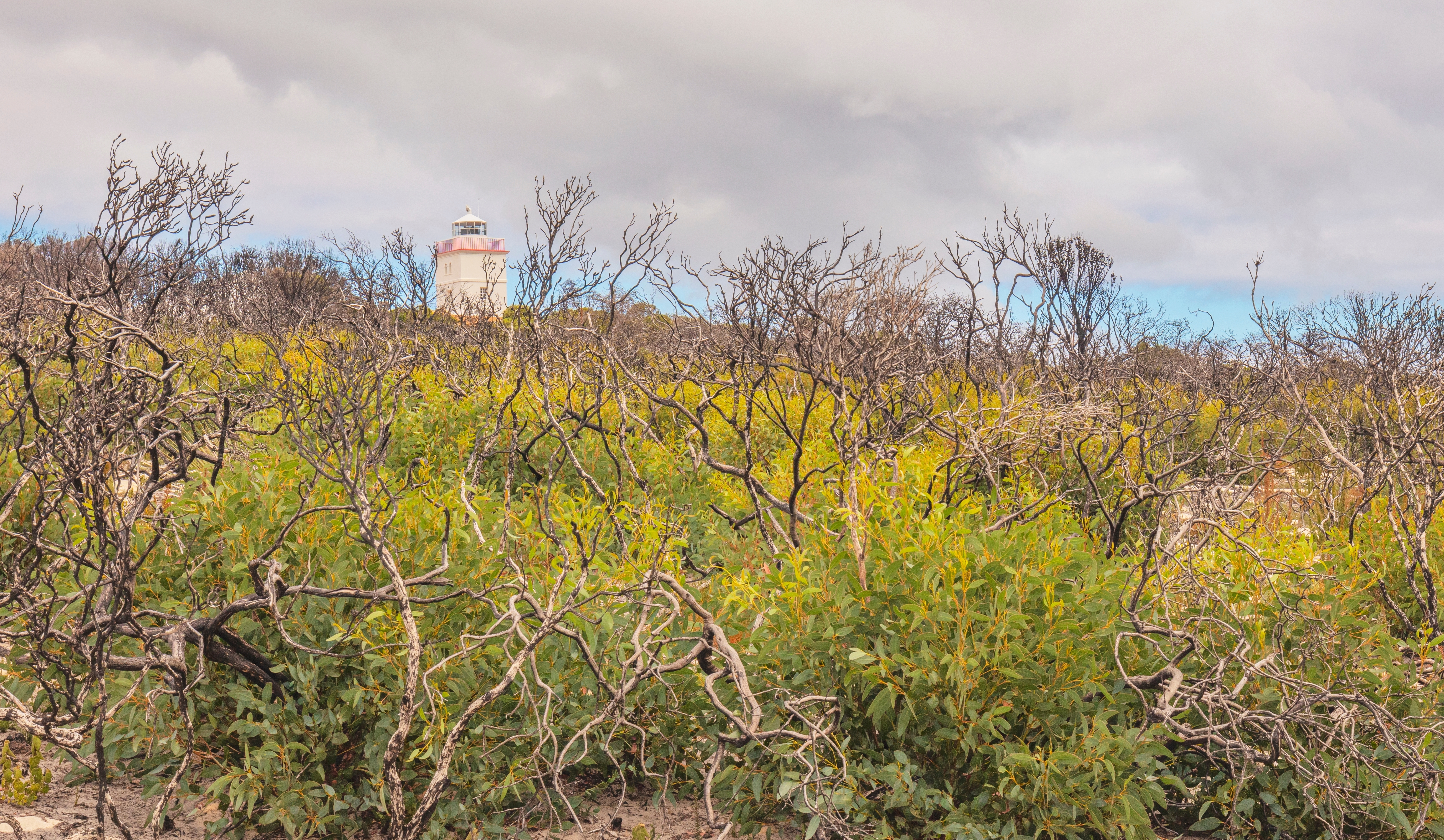 An image depicting the trail Flinders Chase National Park and its surrounding area.