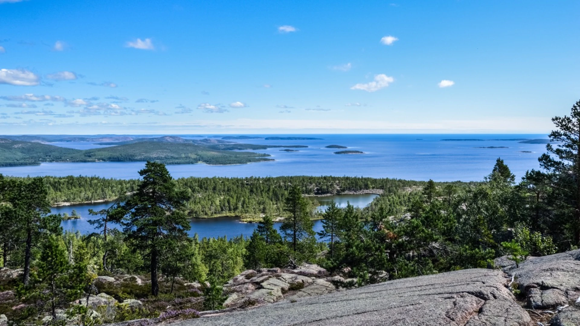 An image depicting the trail The High Coast Trail and its surrounding area.