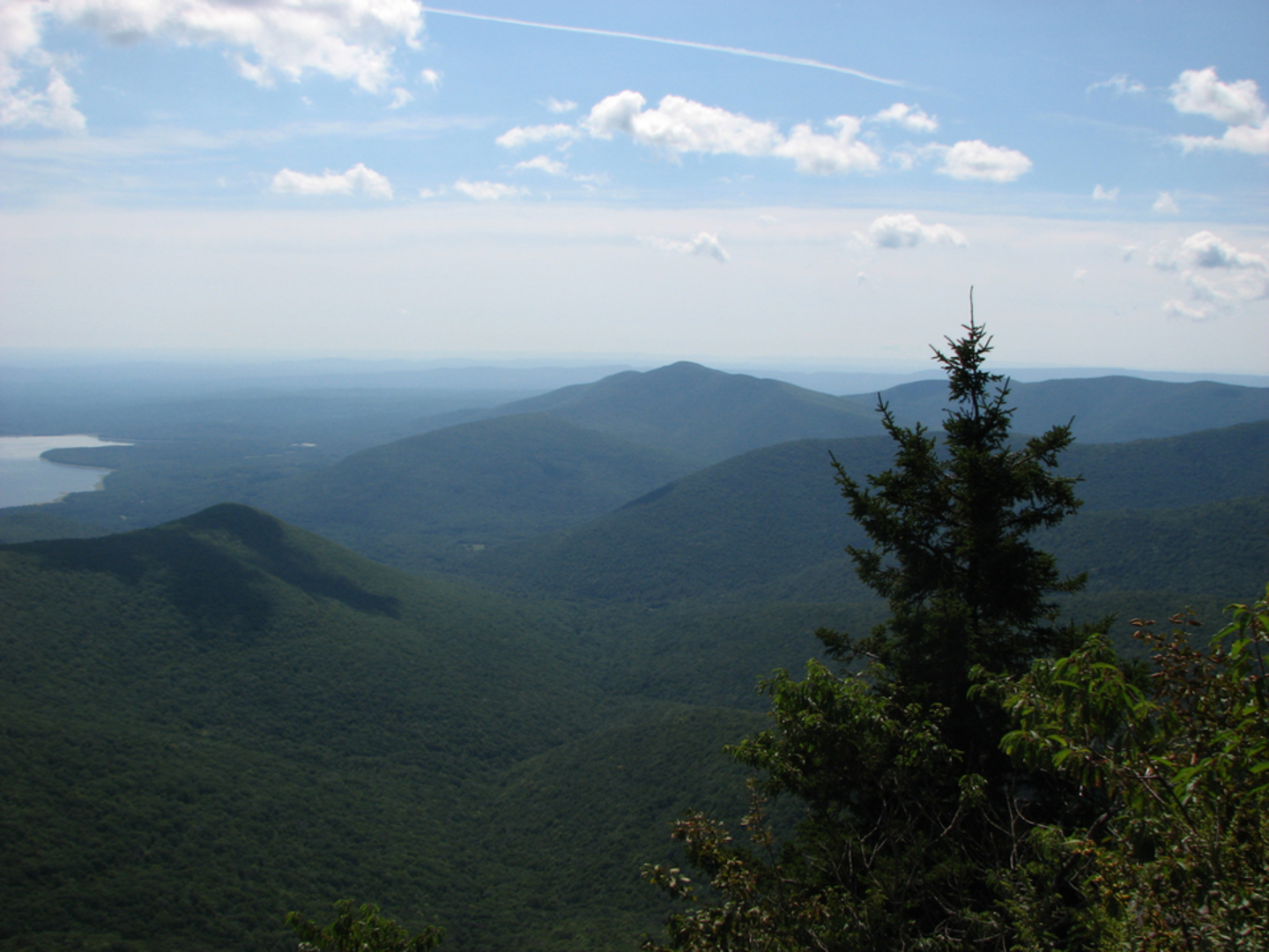 An image depicting the trail Wittenberg - Cornell - Slide Mountain Loop Trail and its surrounding area.