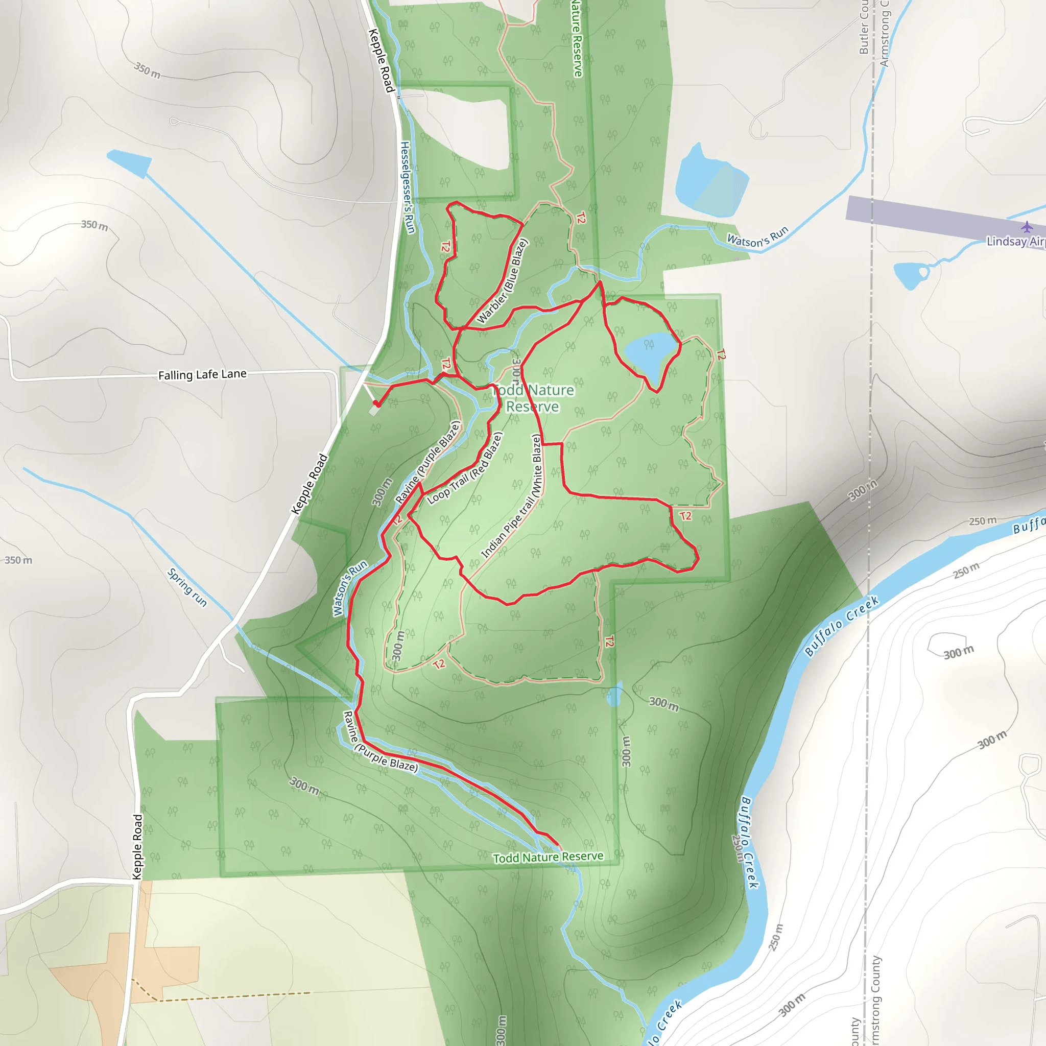 Polypody trail - Orange Blaze - Indian Pipe trail - White Blaze - Ravine - Purple Blaze Loop mobile static map