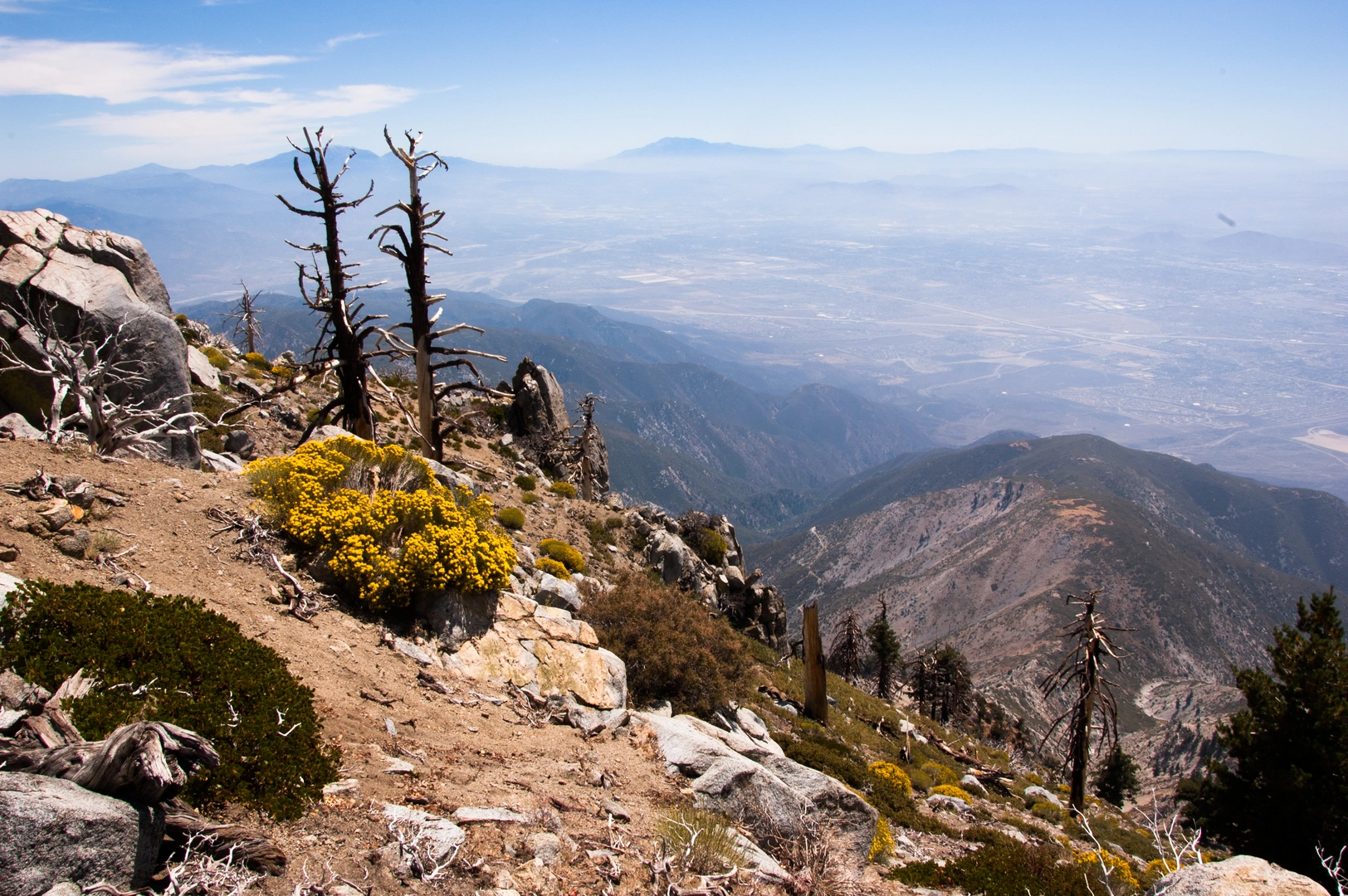 An image depicting the trail Cucamonga Peak via Middle Fork Trail and its surrounding area.