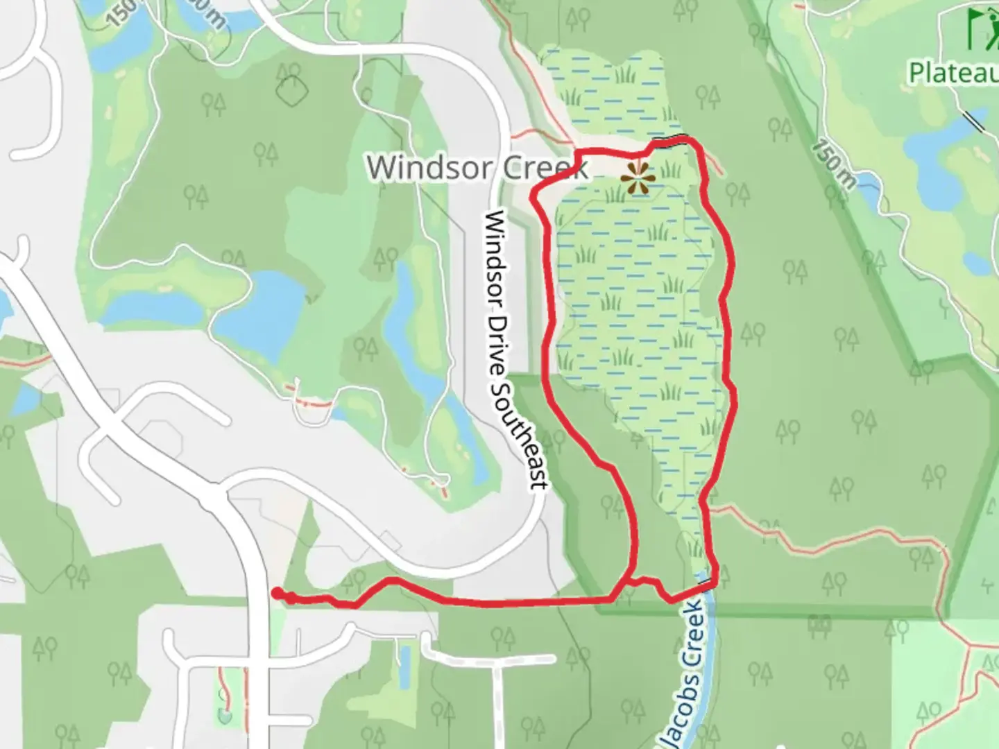 An image depicting the trail Ann's Walkway and Hazel Wolf Wetlands Access Trail and its surrounding area.