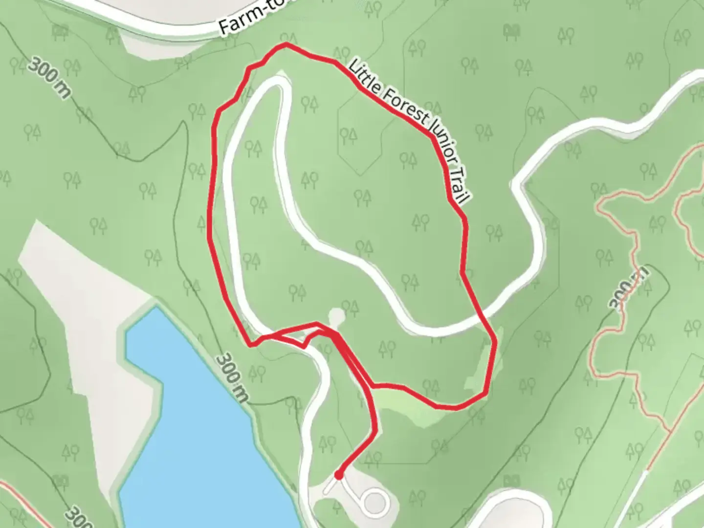 An image depicting the trail Little Forest Junior Loop Trail and its surrounding area.