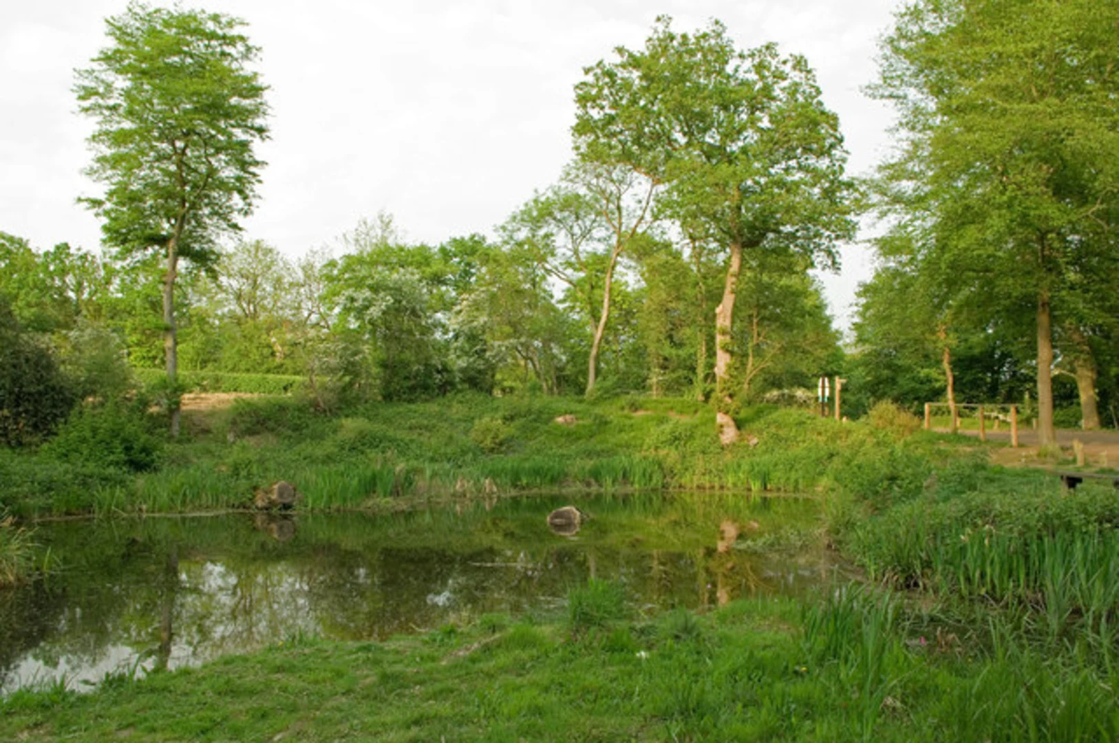 An image depicting the trail Bransland Wood and its surrounding area.