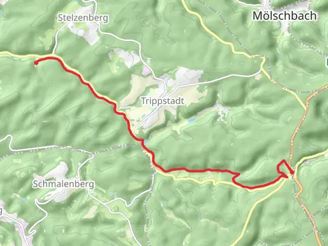 Walzwerk to Johanniskreuz via Pfaelzer Waldpfad