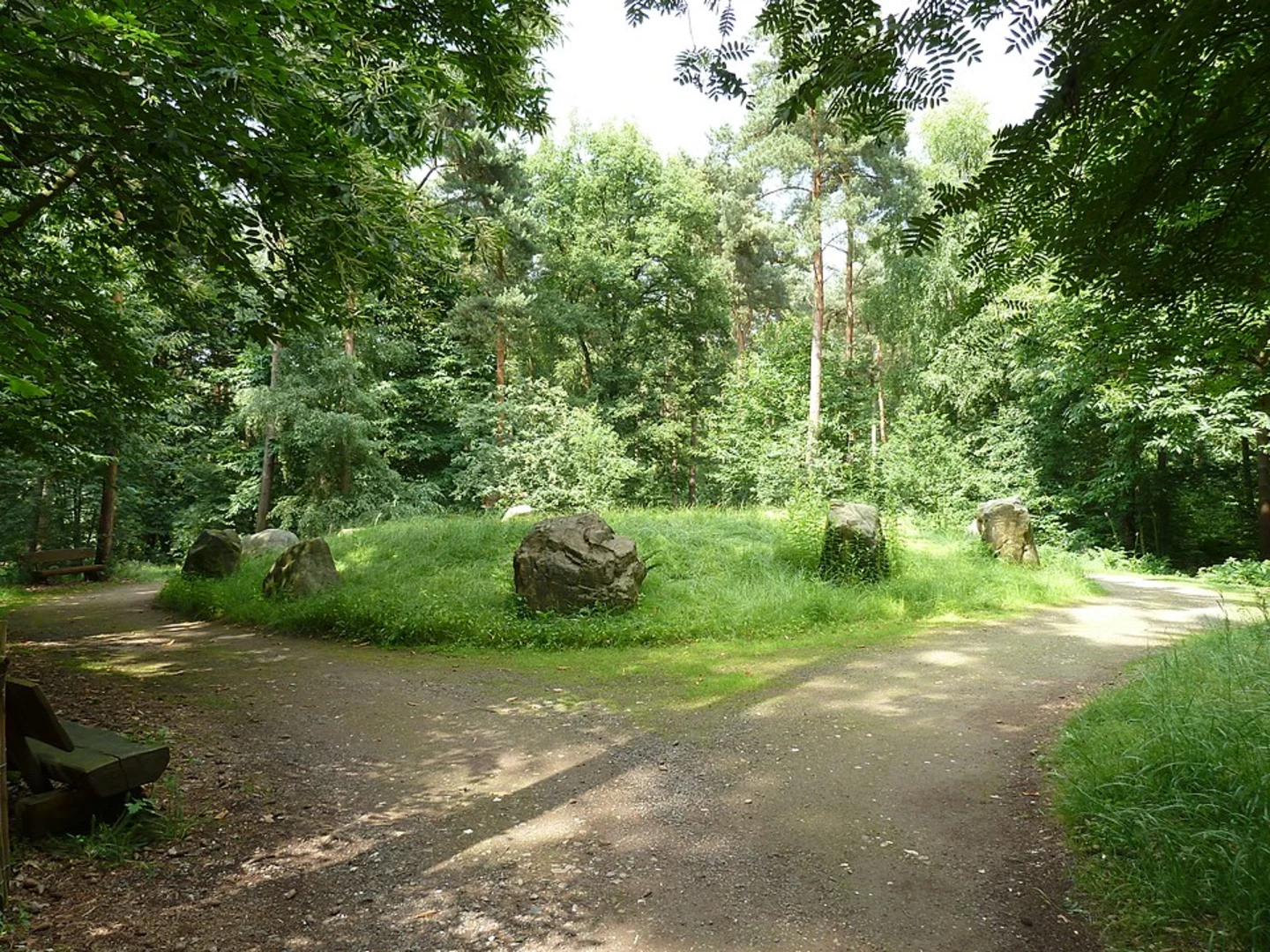 An image depicting the trail Zevenboomsven, Esven and Bergerbos Loop and its surrounding area.