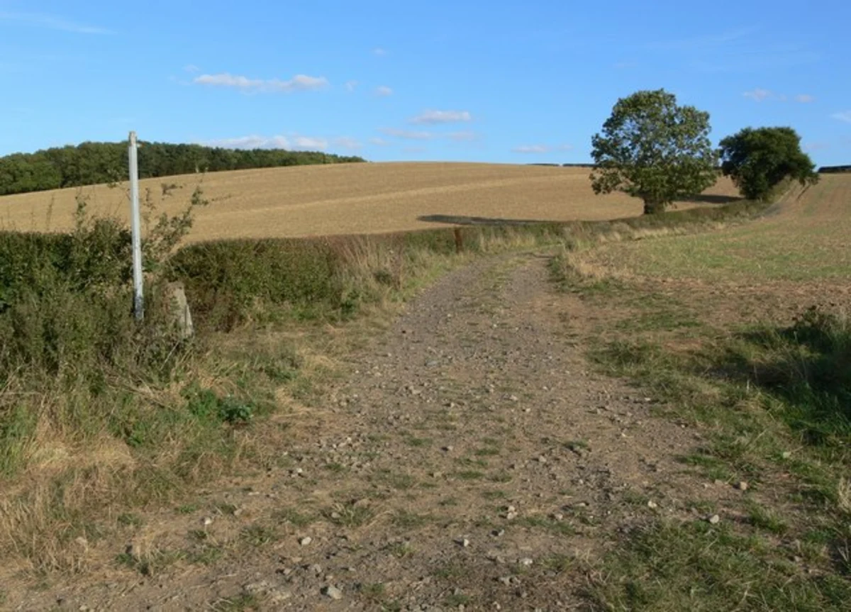 Nevill Holt and Medbourne Loop