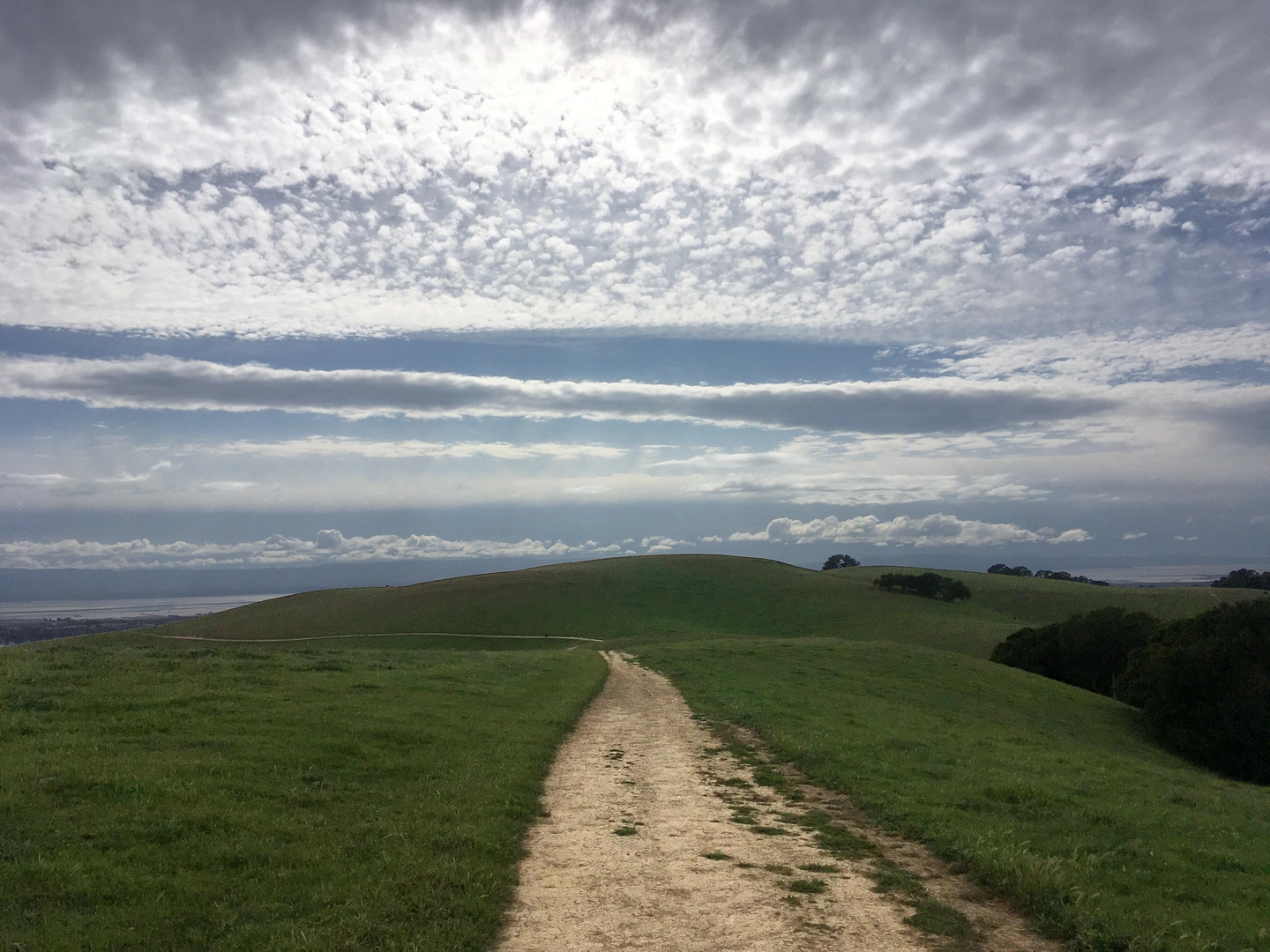 An image depicting the trail Upper Ranch Trail and Bay Area Ridge Trail and its surrounding area.