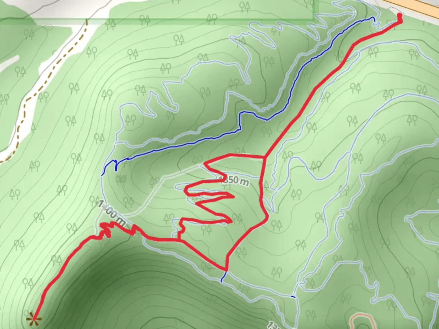 An image depicting the trail Buzzards Roost Loop and its surrounding area.