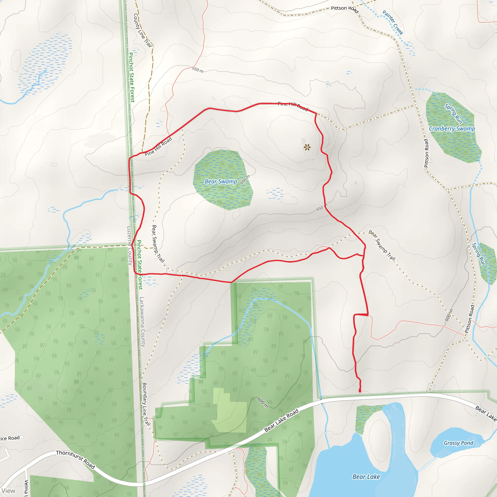 Big Pine Hill Loop Trail mobile static map