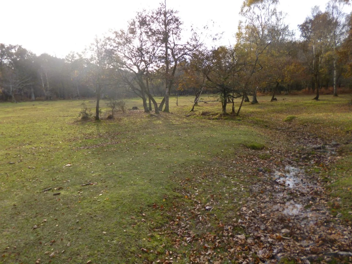 Denny Inclosure, Ladycross Inclosure and Hollands Wood Loop