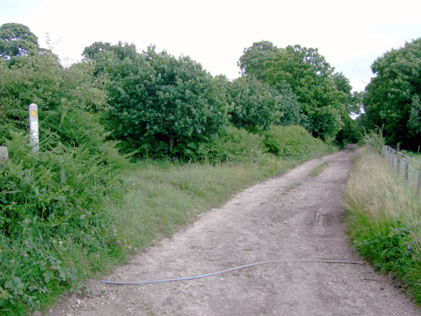 An image depicting the trail Clapham Wood Loop and its surrounding area.