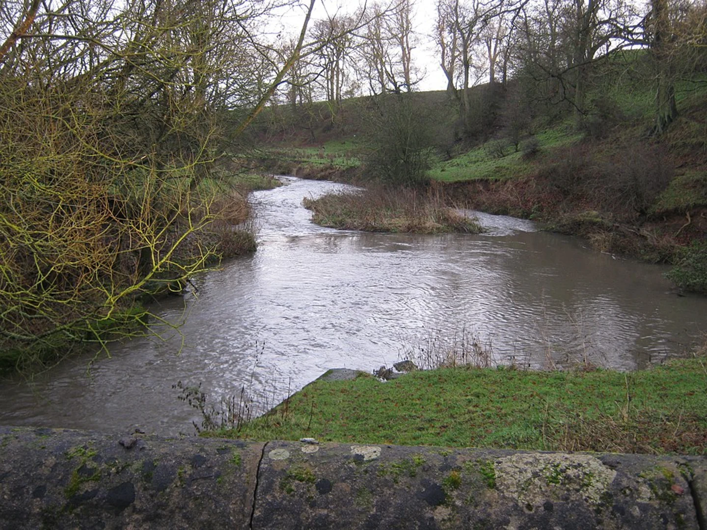 An image depicting the trail Springfield Park and Newton Ketton Loop and its surrounding area.